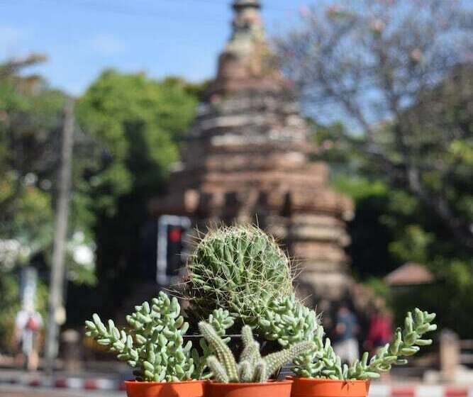 Fotos del hotel See You Soon, Chiang Mai:  10