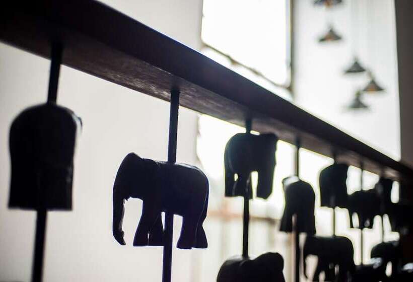 Fotos del hotel See You Soon, Chiang Mai:  7