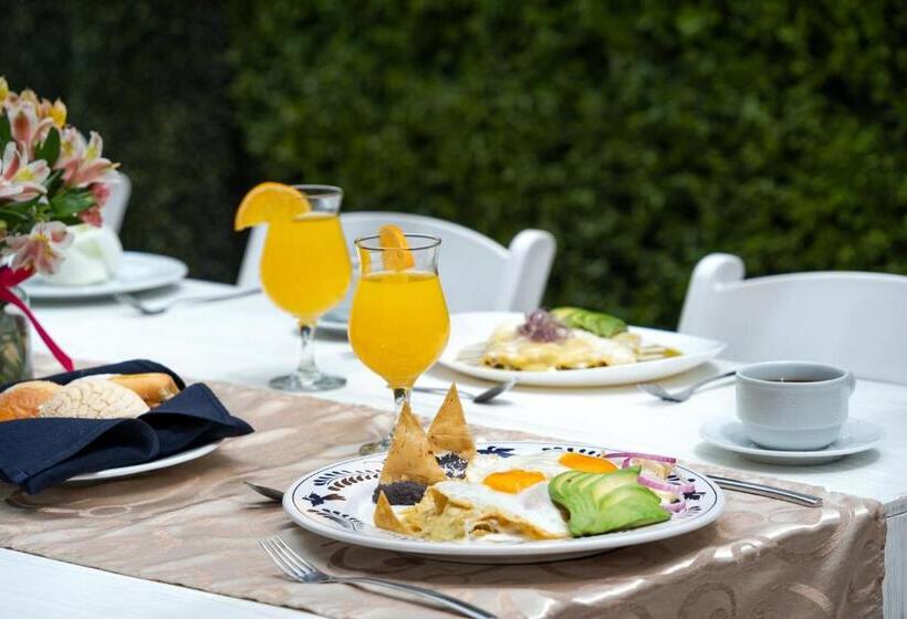 Fotos del hotel Loa Inn Business Centro Puebla:  14