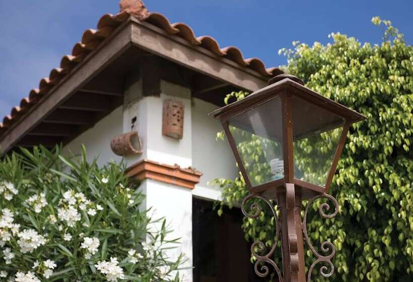 Fotos del hotel Worldmark La Paloma:  10