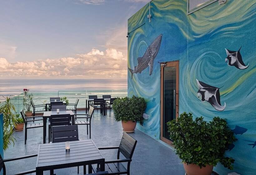 Fotos del hotel H78:  2