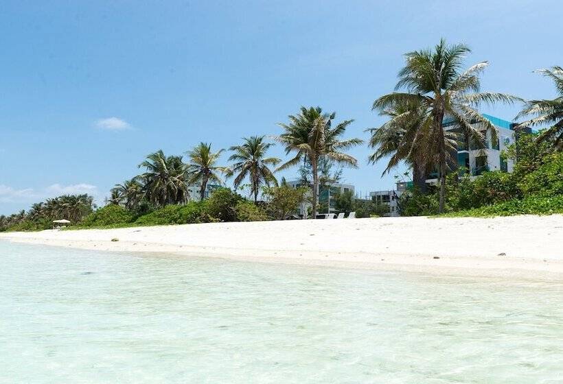 Fotos del hotel H78:  9