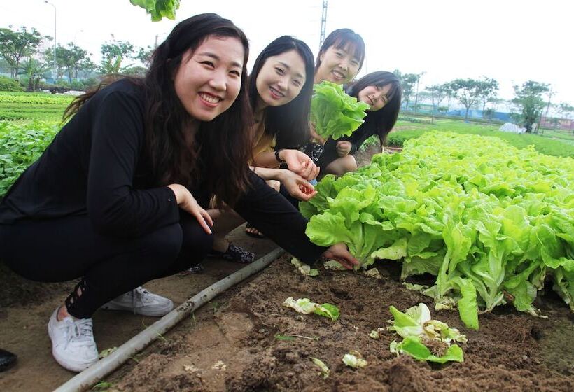 Fotos del hotel Hsb  & Apartment:  24