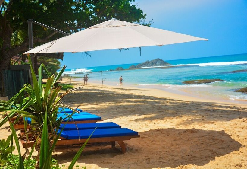 Fotos del hotel Sayura Beach:  22