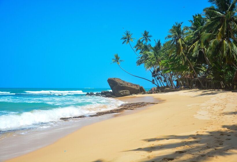 Fotos del hotel Sayura Beach:  25