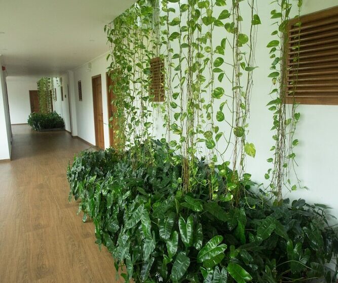 Fotos del hotel Sayura Beach:  3