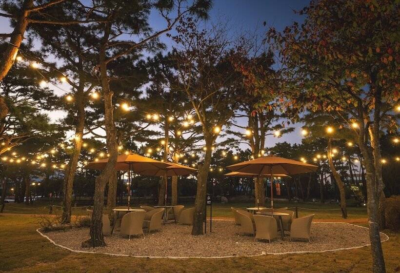 Fotos del hotel Kensington Resort Seorak Beach:  15