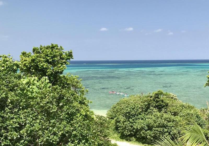 Fotos del hotel Alaise De Bale Ishigaki:  8