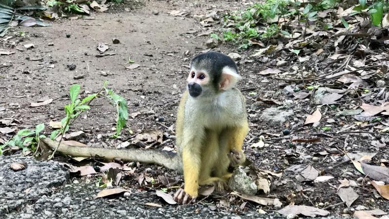 Fotos del hotel Alaise De Bale Ishigaki:  14