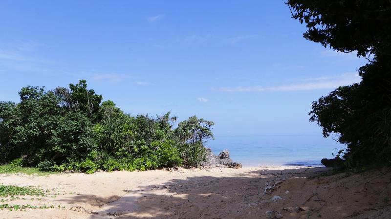 Fotos del hotel Alaise De Bale Ishigaki:  20