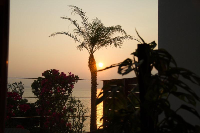 Fotos del hotel Alaise De Bale Ishigaki:  24