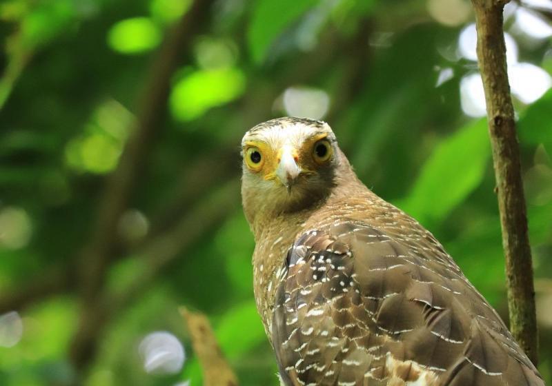 Fotos del hotel Alaise De Bale Ishigaki:  16