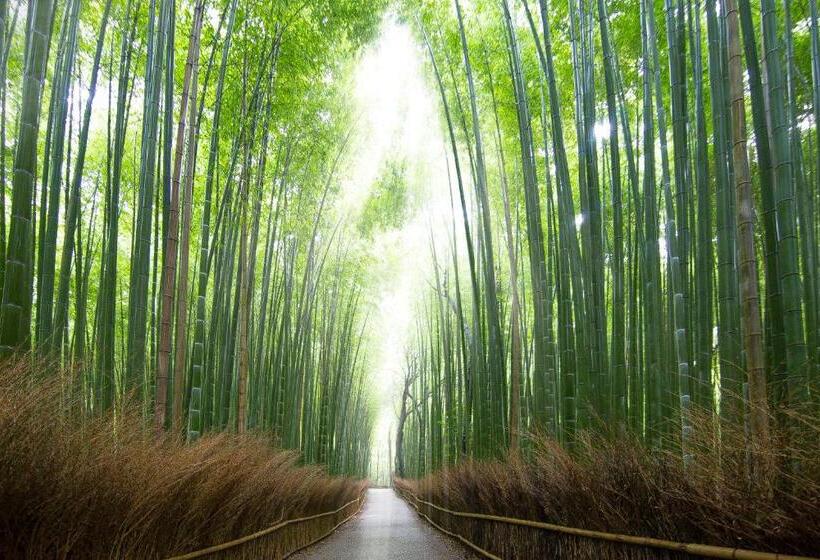 Fotos del hotel Binario Saga Arashiyama:  5