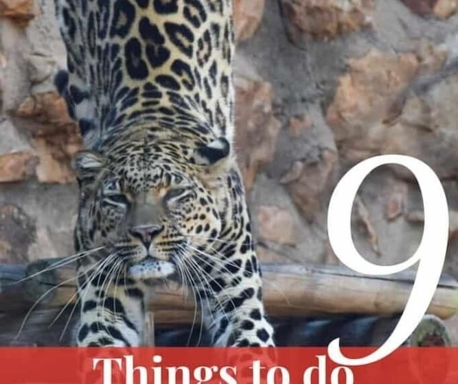 Fotos del hotel Gold Reef Place:  16