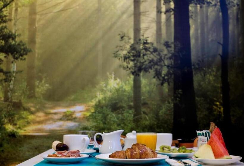 Fotos del hotel Salamanca Suite Studios:  19