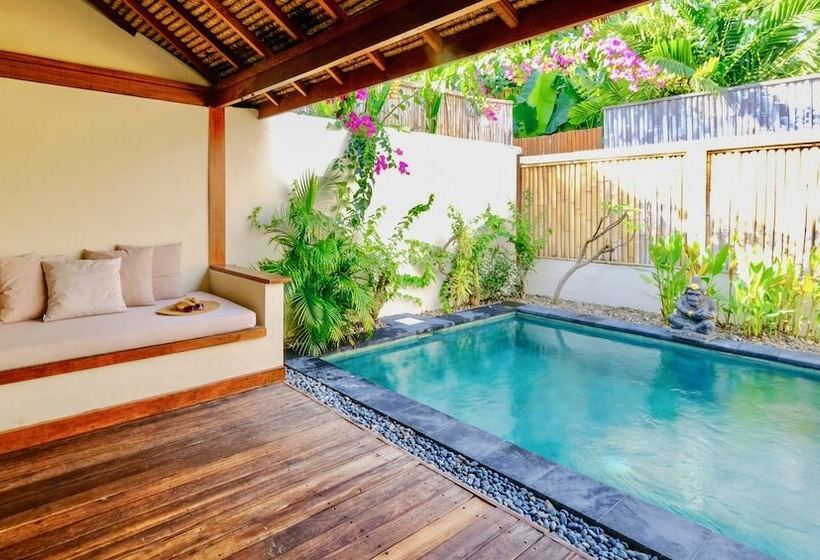 Fotos del hotel Villa Marina:  9