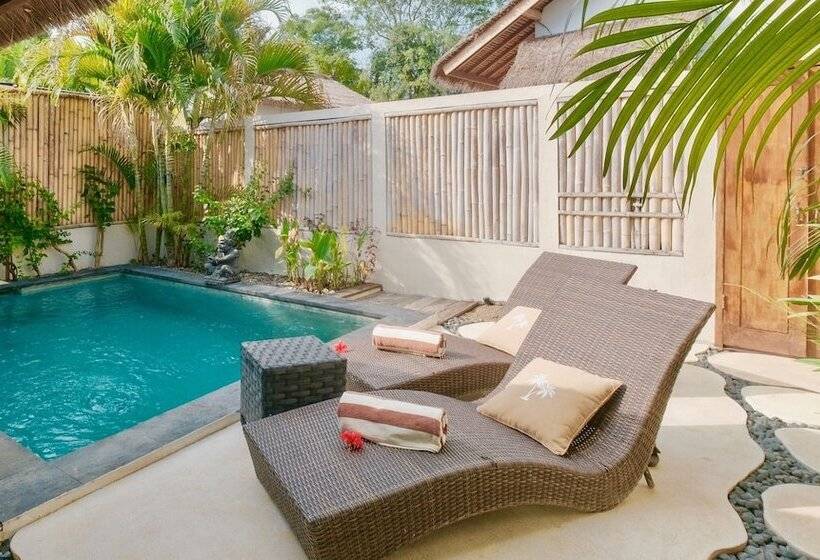 Fotos del hotel Villa Marina:  25