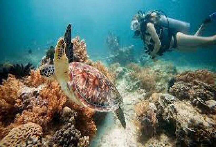 Fotos del hotel Gili Breeze Tropical Bungalows:  12