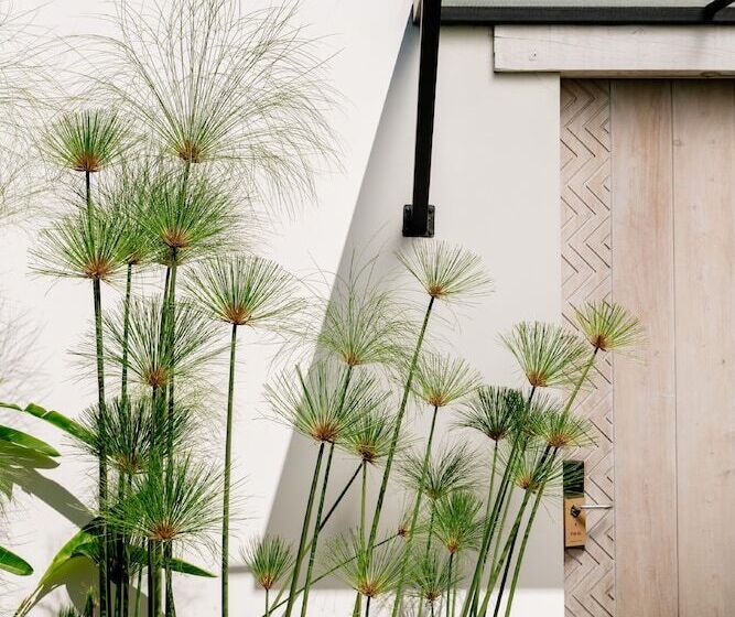 Fotos del hotel Good Hotel Antigua:  16