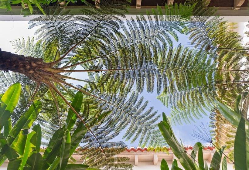 Fotos del hotel Good Hotel Antigua:  24