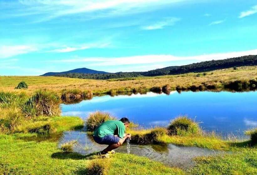 Fotos del hotel Mirage Kings Cottage:  6