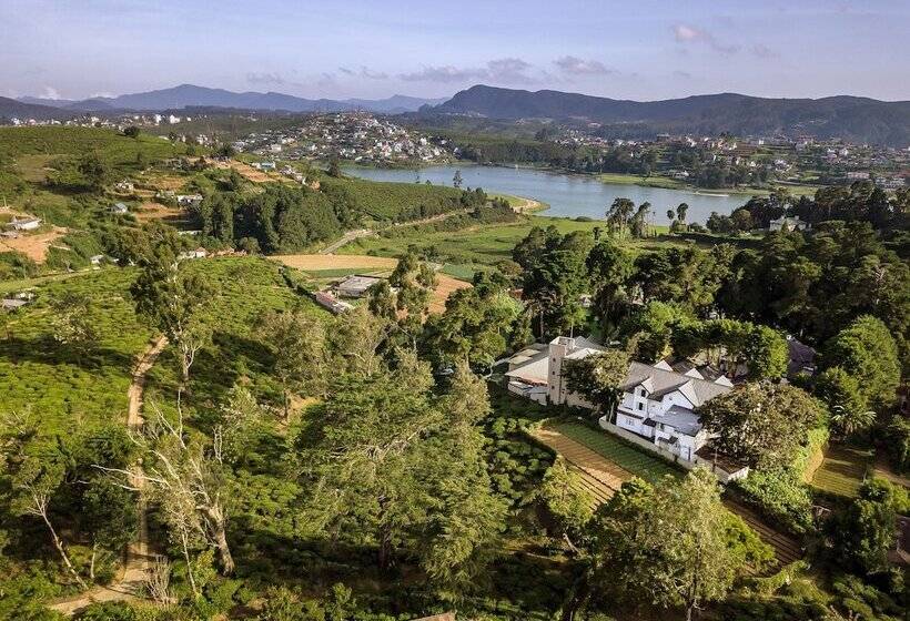 Fotos del hotel Mirage Kings Cottage:  4