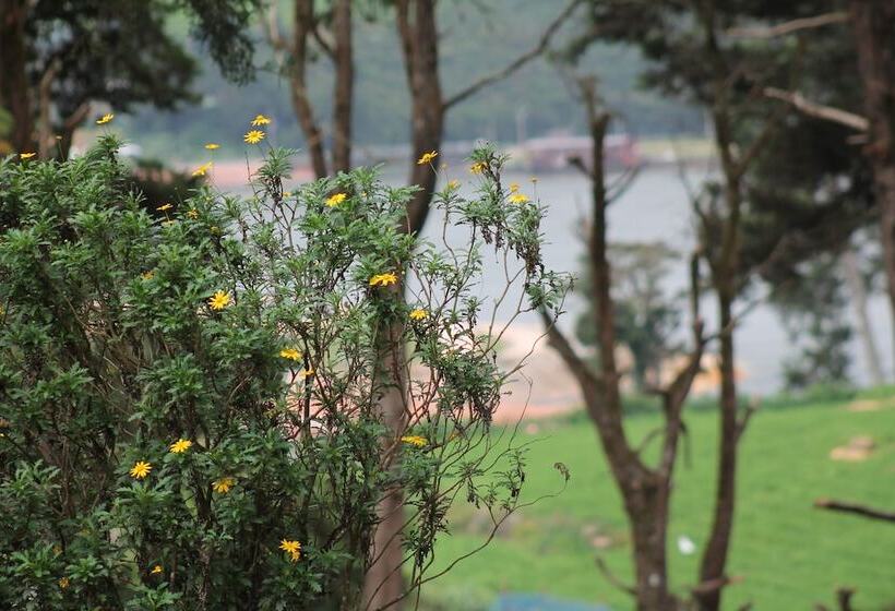 Fotos del hotel Mirage Kings Cottage:  8