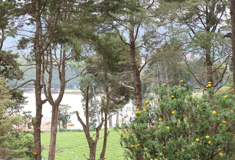 Fotos del hotel Mirage Kings Cottage:  11