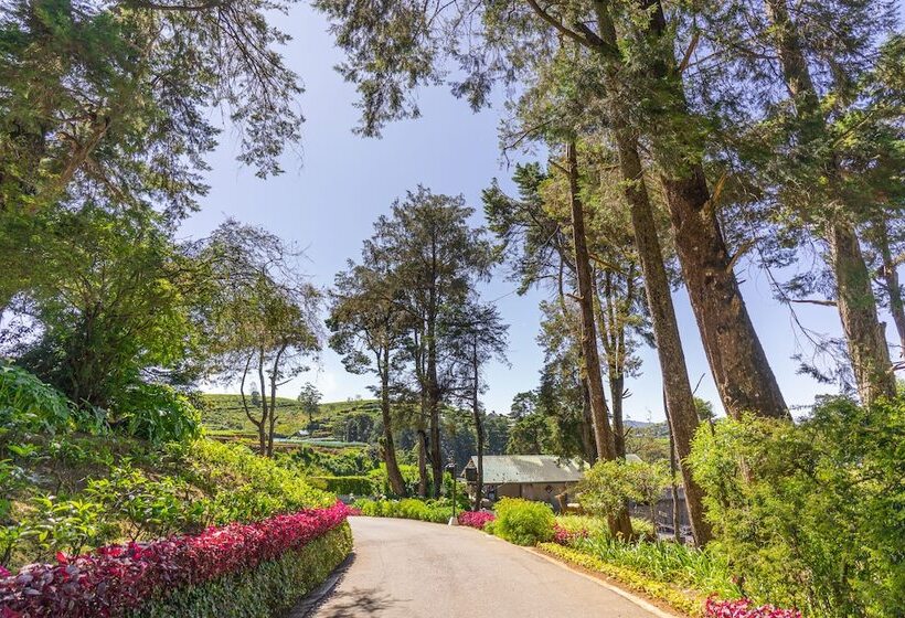 Fotos del hotel Mirage Kings Cottage:  9