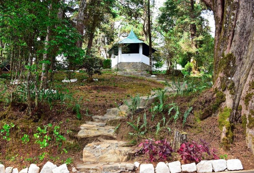 Fotos del hotel Mirage Kings Cottage:  12