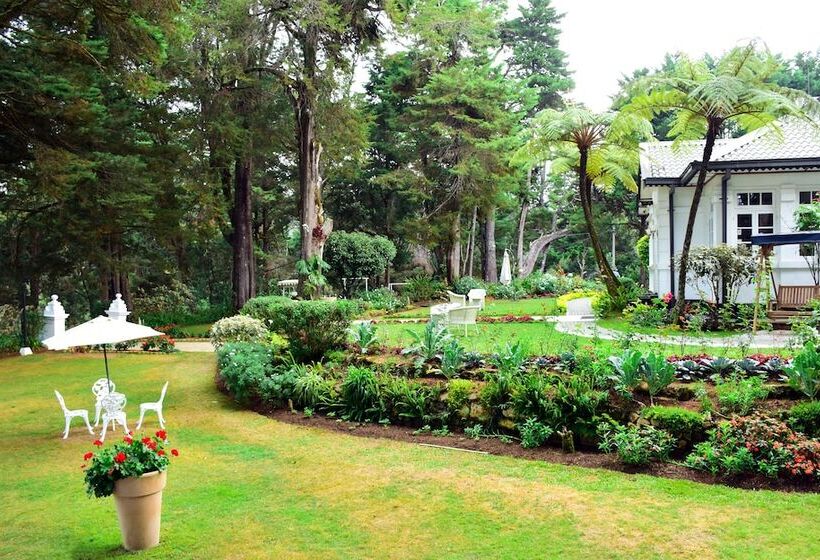 Fotos del hotel Mirage Kings Cottage:  13