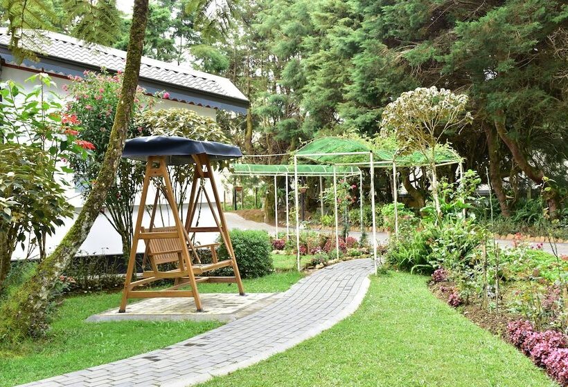 Fotos del hotel Mirage Kings Cottage:  2