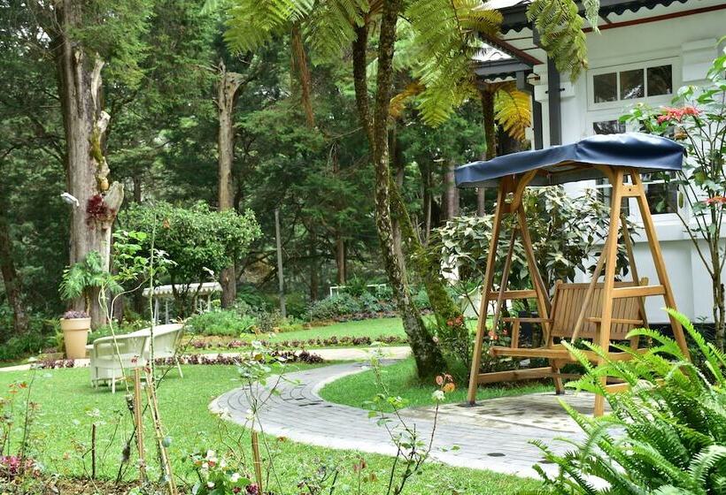 Fotos del hotel Mirage Kings Cottage:  3