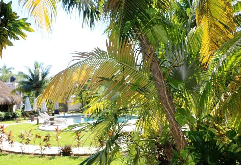 Fotos del hotel Wish Tulum:  6