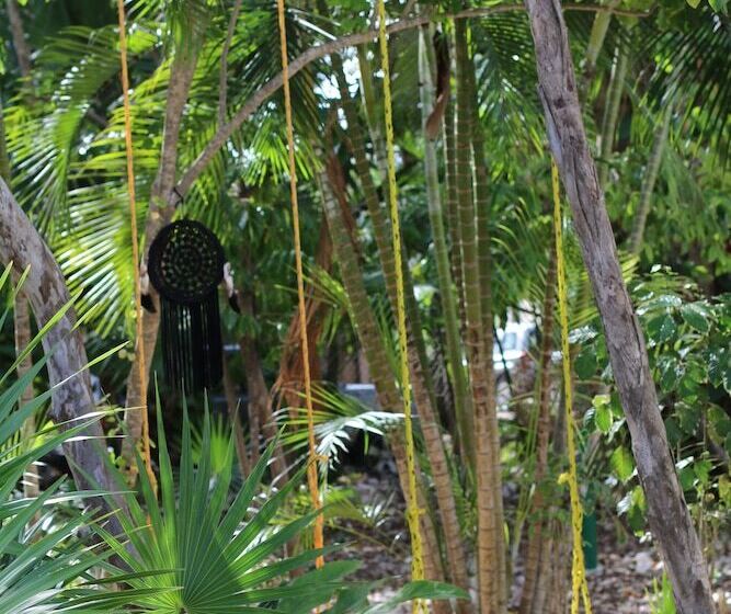 Fotos del hotel Wish Tulum:  14