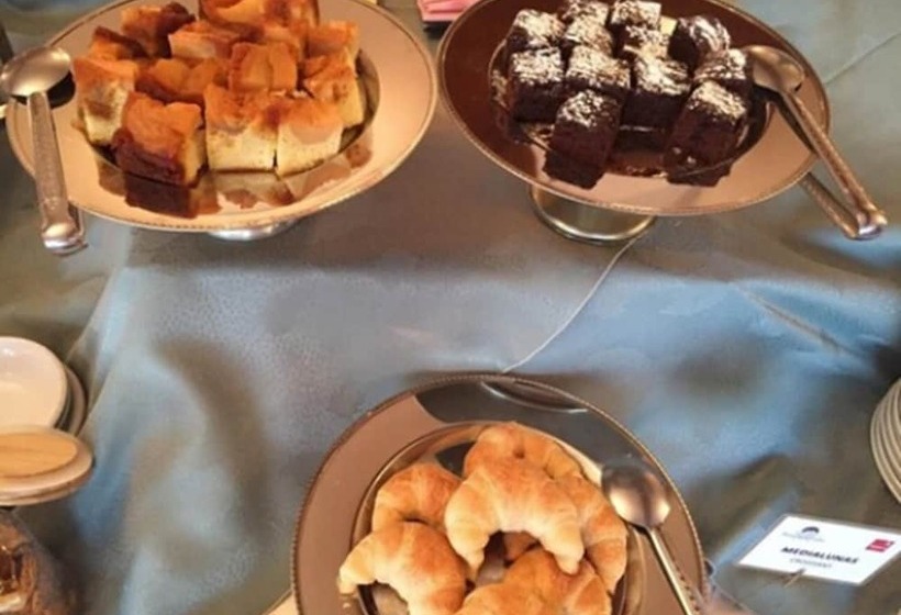 Fotos del hotel Gran Hotel Panamericano:  19