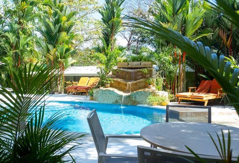 Fotos del hotel La Vela Boutique:  13