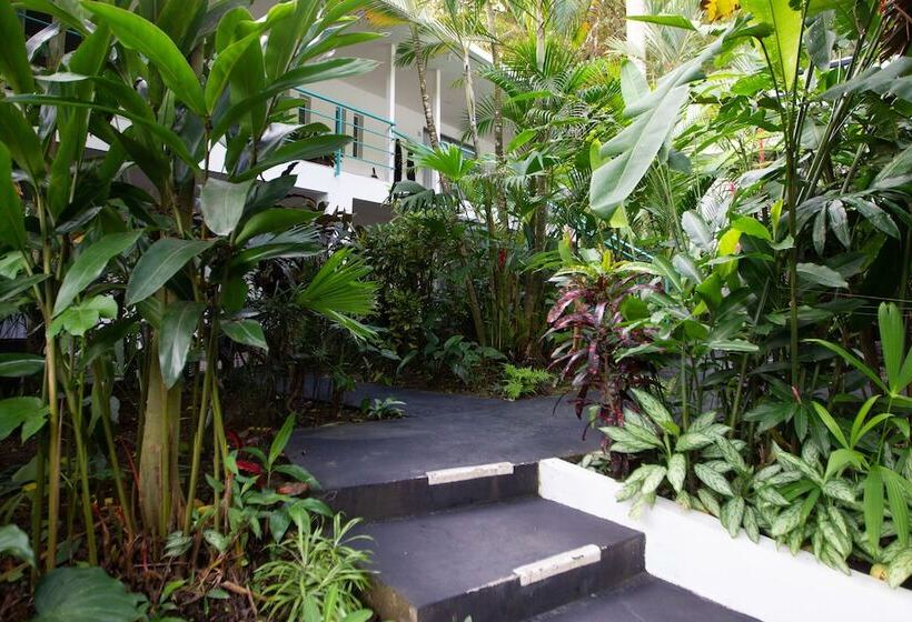 Fotos del hotel La Vela Boutique:  9