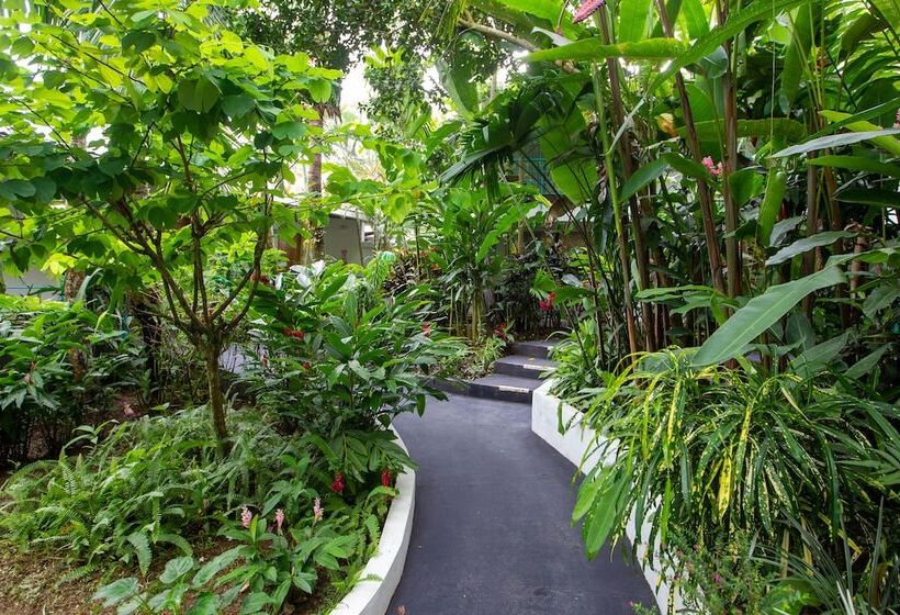 Fotos del hotel La Vela Boutique:  23