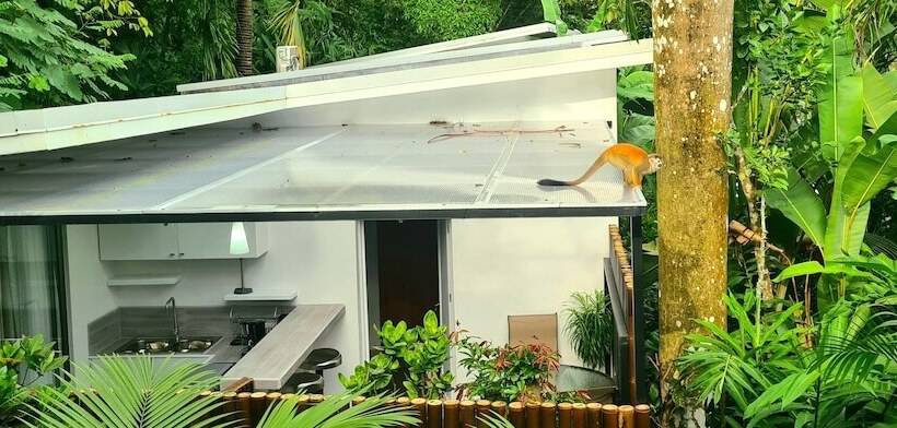 Fotos del hotel La Vela Boutique:  6