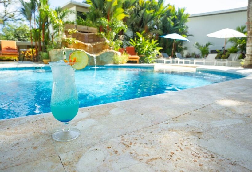 Fotos del hotel La Vela Boutique:  3