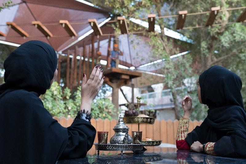 Fotos del hotel Emirates Park Resort:  15