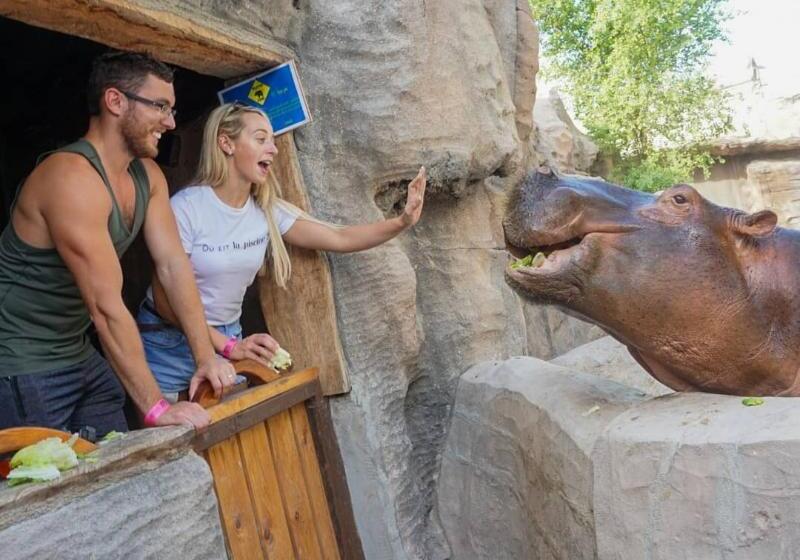 Fotos del hotel Emirates Park Resort:  18