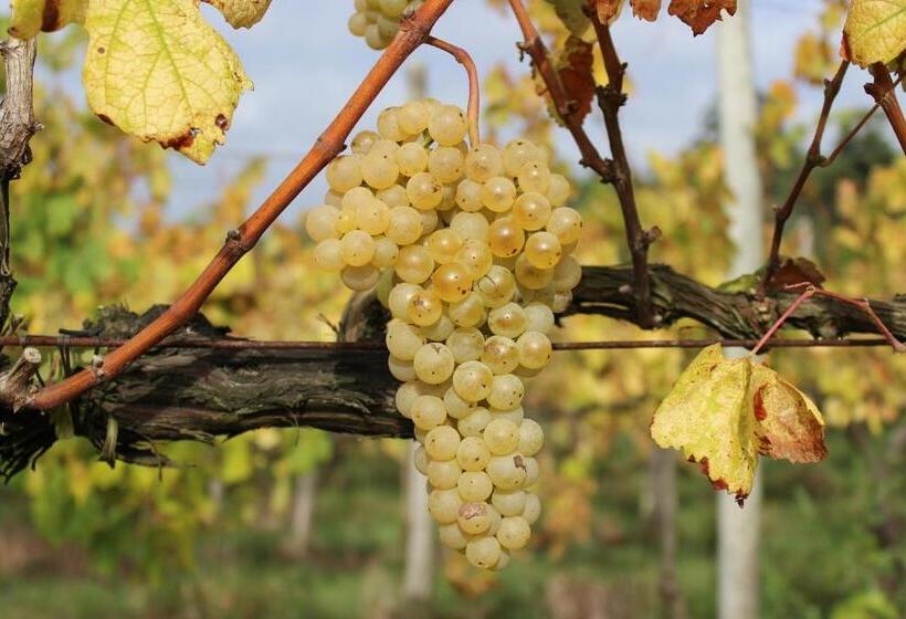 Fotos del hotel Casa Do Monte De Roques:  4