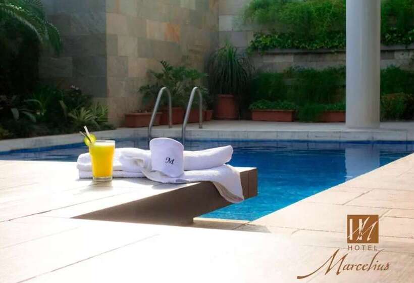 Fotos del hotel Marcelius:  12