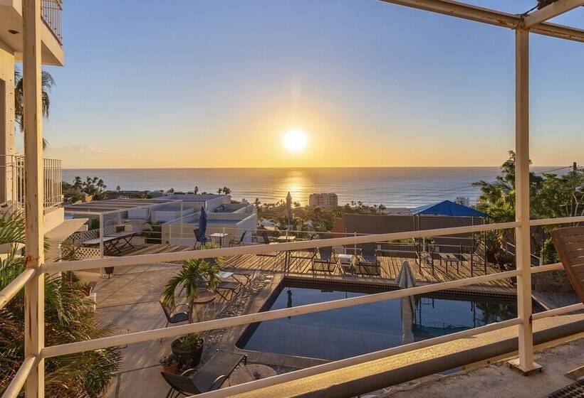 Fotos del hotel Mariamar Suites:  15