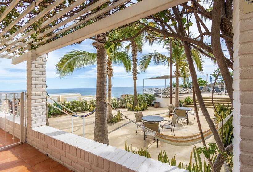 Fotos del hotel Mariamar Suites:  14