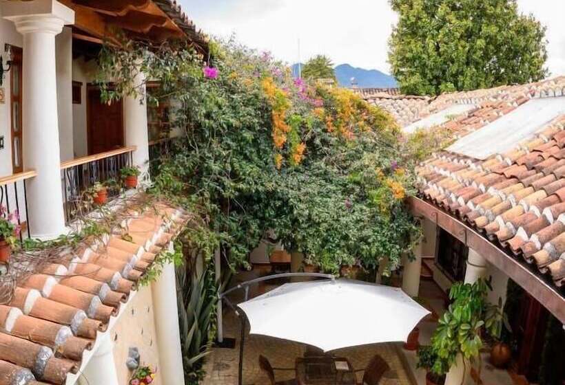 Fotos del hotel Provincia:  10