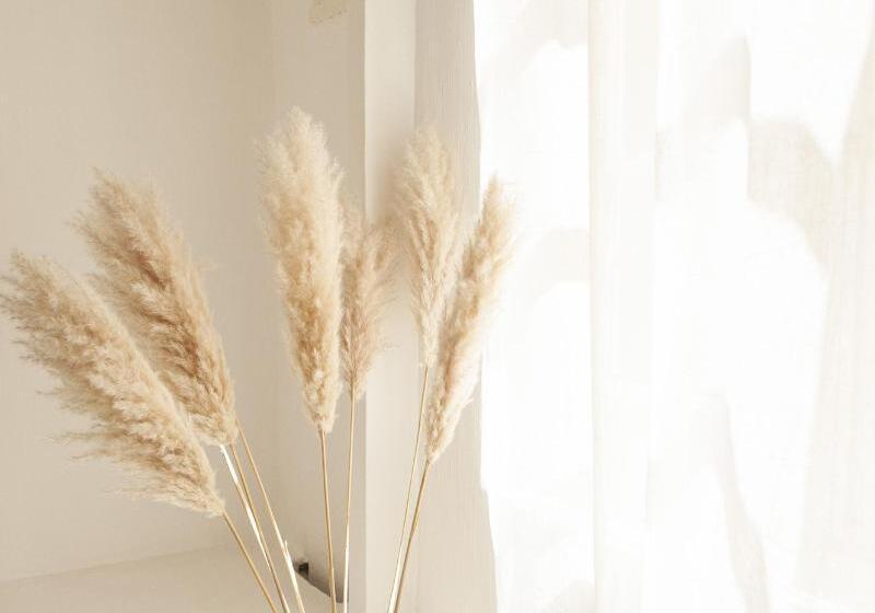 Fotos del hotel 971 Hotel Con Encanto:  14