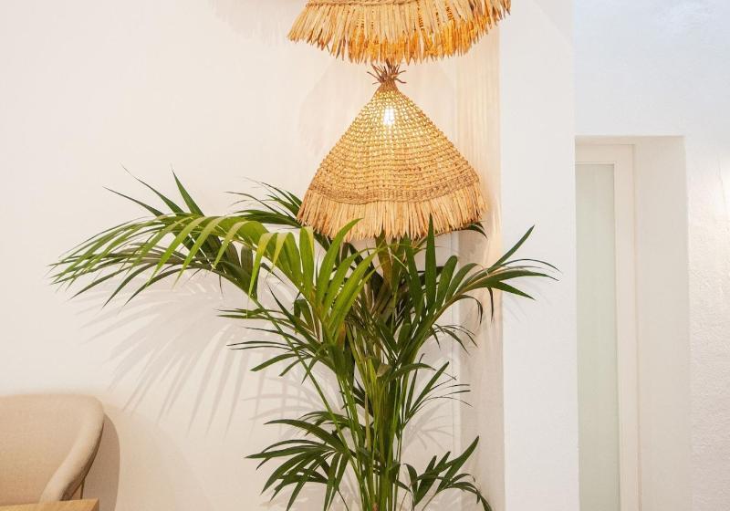 Fotos del hotel 971 Hotel Con Encanto:  17